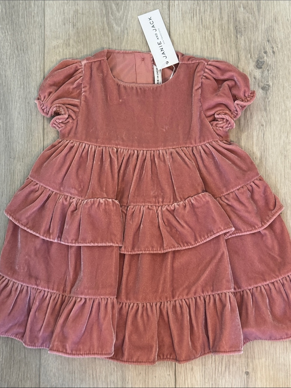 Janie and Jack Girls' Dusty Rose Velvet Tiered Dress N